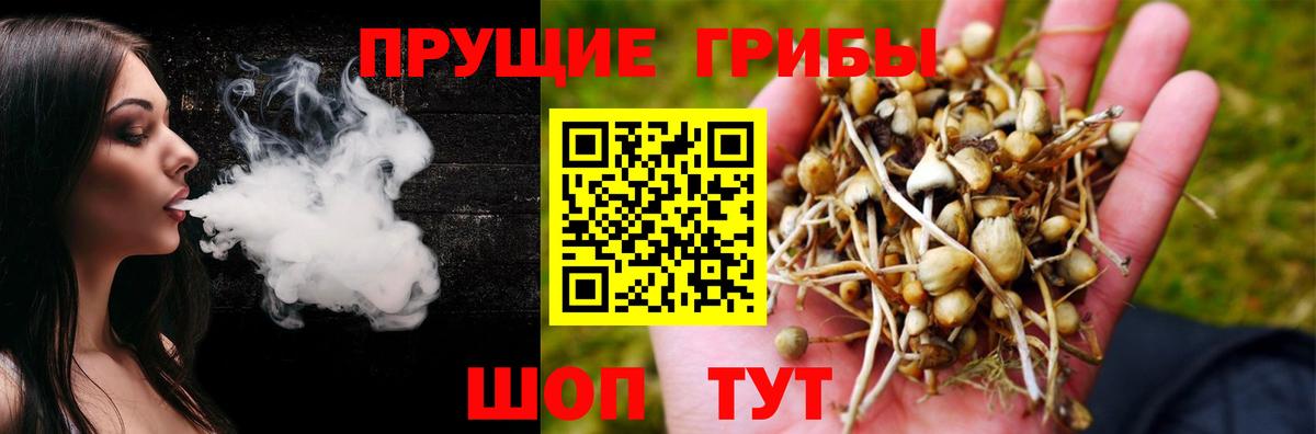 Алейск  Псилоцибиновые грибы ЛСД  Вход с VPN  Галлюциногенные грибы Cubensis 