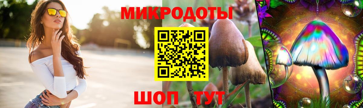 Галлюциногенные грибы MAGIC MUSHROOMS Алейск
